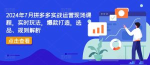 2024拼多多实战运营课:爆款打造+选品技巧+规则解析-小伟资源网