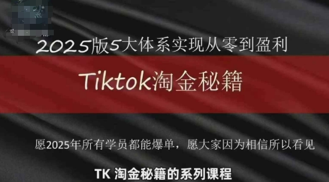 2025 TikTok跨境掘金指南：零基础快速盈利变现全攻略-小伟资源网