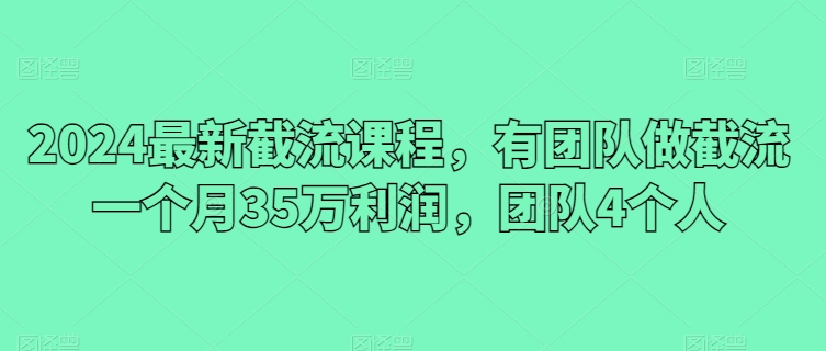 2024截流暴利实战：4人团队月赚35万最新玩法-小伟资源网