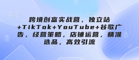 \”跨境创富实战：独立站+TikTok+YouTube+谷歌广告运营全攻略\”-小伟资源网
