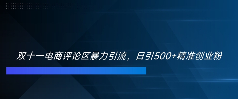 \”双十一暴力引流术：日吸500+精准创业粉【实战揭秘】\”-小伟资源网