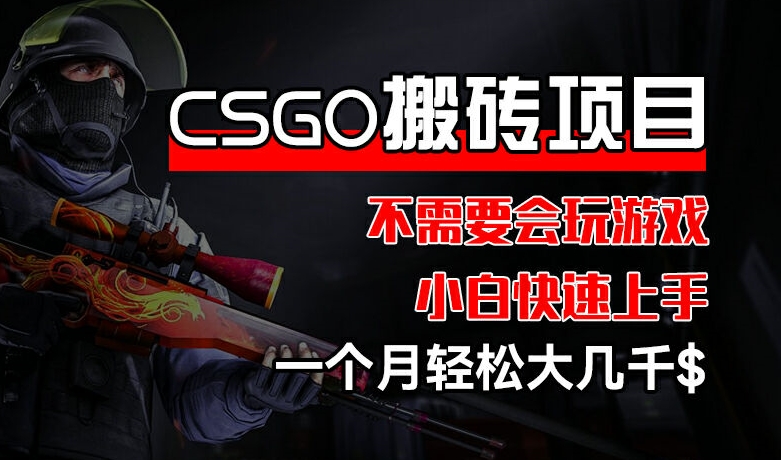 \”CSGO搬砖项目揭秘：零基础月入几千，新手轻松上手！\”-小伟资源网