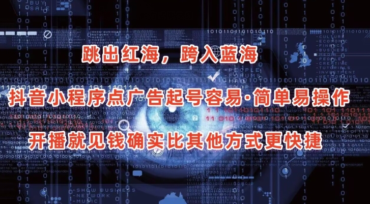 \”抖音小程序广告项目：轻松起号，开播即赚，新手也能快速上手【揭秘】\”-小伟资源网