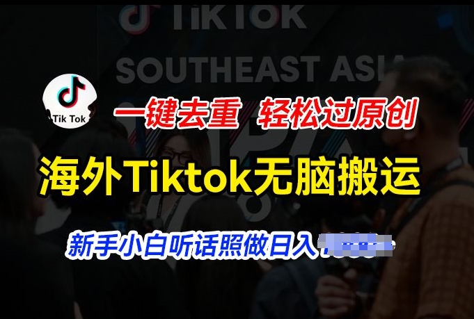 \”TikTok搬运暴利揭秘：新手零门槛日赚千元，一键去重轻松原创\”-小伟资源网