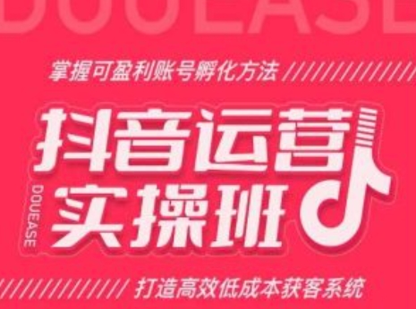 \”抖音运营实战课：低成本打造盈利账号，高效获客技巧全掌握\”-小伟资源网