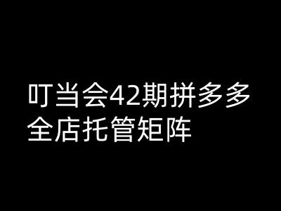 《拼多多高阶运营：42期全店托管矩阵实战班》-小伟资源网
