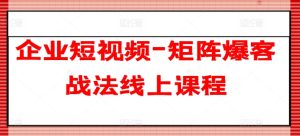 《企业短视频矩阵爆客实战课:50字内精准引流攻略》-小伟资源网