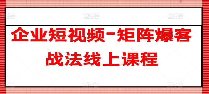 《企业短视频矩阵爆客实战课：50字内精准引流攻略》-小伟资源网