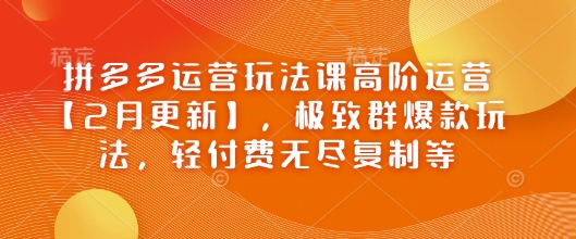 \”拼多多高阶运营课：2月爆款群玩法+轻付费复制技巧\”-小伟资源网