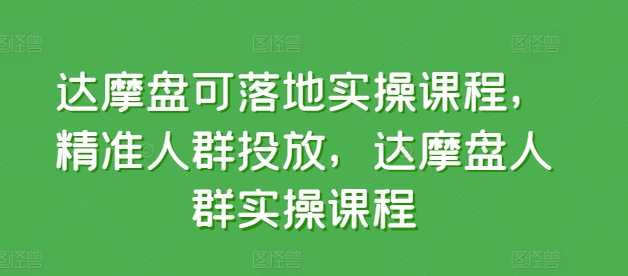 \”达摩盘精准人群投放实操课：手把手教你高效落地运营\”-小伟资源网