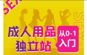 成人用品独立站0-1运营指南:7大热销站点推荐与全流程教学-小伟资源网