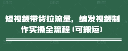 \”短视频带货实操指南：从制作到引流全流程解析\”-小伟资源网