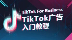 从零开始玩转TikTok广告:新手必学的全流程投放指南-小伟资源网