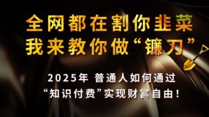 2025知识付费暴利指南：普通人如何逆袭成镰刀，轻松实现财富自由-小伟资源网
