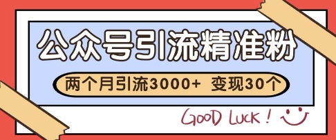 2个月吸粉3000+变现30万！公众号精准引流秘籍大公开-小伟资源网