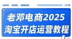2025淘宝开店运营教程：直通车万相无界推广与网店经营实战培训-小伟资源网
