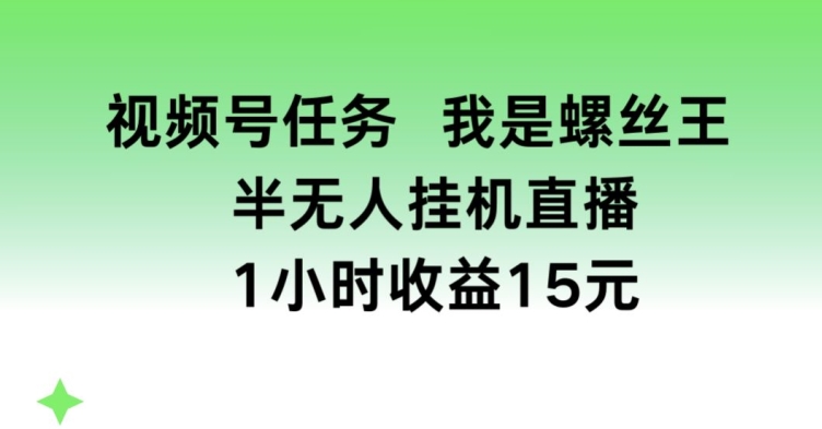 \”视频号挂机赚钱：揭秘\’螺丝王\’1小时15元半无人操作内幕\”-小伟资源网