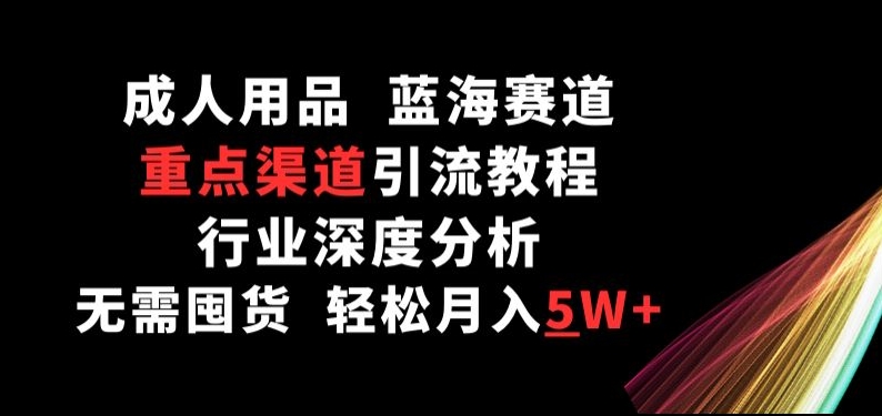 \”成人用品蓝海掘金：零囤货月入5W+的渠道运营全攻略【行业揭秘】\”-小伟资源网