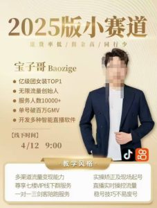 宝子哥4.12-13线下课:短视频打法+录音字幕PPT,解决缺号难题-小伟资源网