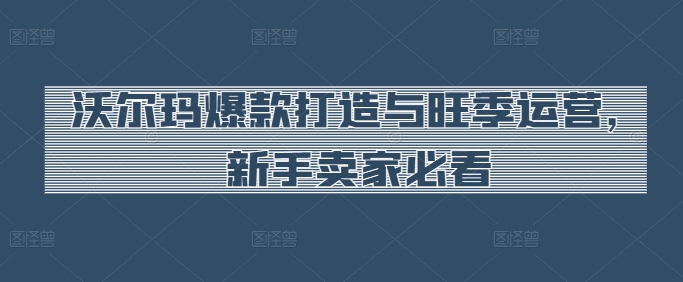 新手必看：沃尔玛爆款打造与旺季运营全攻略-小伟资源网