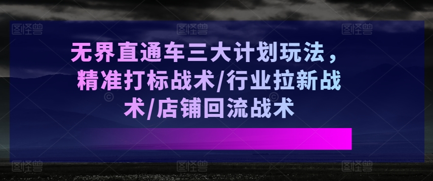 \”无界直通车3大核心战术：精准打标+行业拉新+店铺回流全攻略\”-小伟资源网