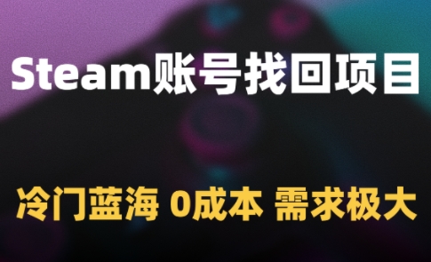 \”Steam账号找回：零成本蓝海项目，需求旺盛市场空缺大\”-小伟资源网