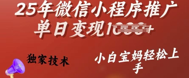 \”25年微信小程序变现秘籍：独家技术助小白宝妈日赚多单【揭秘】\”-小伟资源网