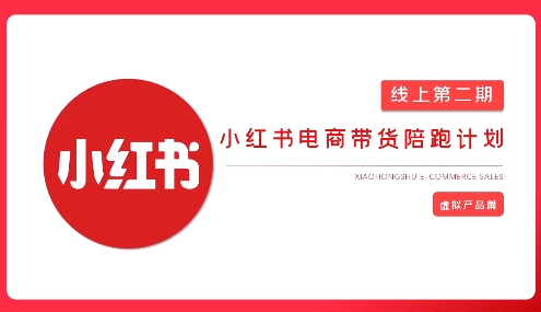 2025小红书无货源电商速成：AI爆款笔记+零基础变现实战-小伟资源网