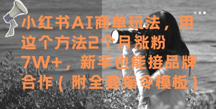 \”小红书AI商单涨粉7W+秘籍，新手速成品牌合作（含指令模板）\”-小伟资源网
