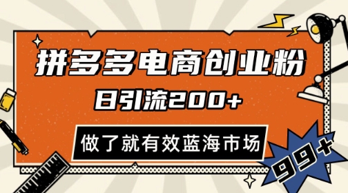 \”拼多多电商创业粉日引200+秘籍，矩阵放大实操攻略【立即见效】\”-小伟资源网