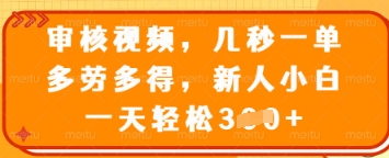 \”揭秘：新手日赚300+，视频审核兼职秒结多赚！\”-小伟资源网