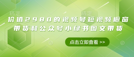 \”2980元视频号橱窗带货+公众号小绿书图文变现全攻略\”-小伟资源网