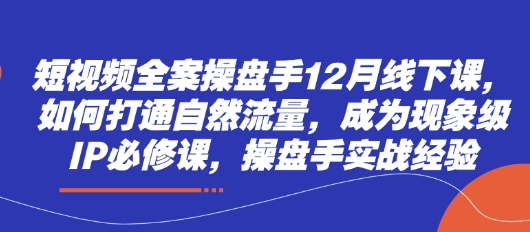 《短视频操盘手线下课：引爆自然流量打造现象级IP实战指南》-小伟资源网