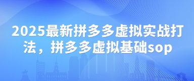 2025拼多多虚拟项目实战指南：从基础到高阶运营全攻略-小伟资源网
