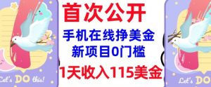 “0门槛日赚115刀！新手无脑操作，轻松实现被动收入”-小伟资源网
