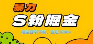 日赚1k+！S粉引流变现全攻略，单机日引千粉秘籍大公开-小伟资源网