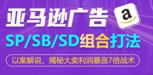 亚马逊广告组合策略：SP+SB+SD联动打法，7倍利润暴涨实战揭秘-小伟资源网