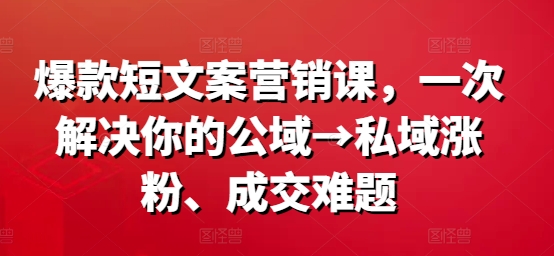 《爆款短文案课：公域引流私域成交，轻松涨粉变现》-小伟资源网