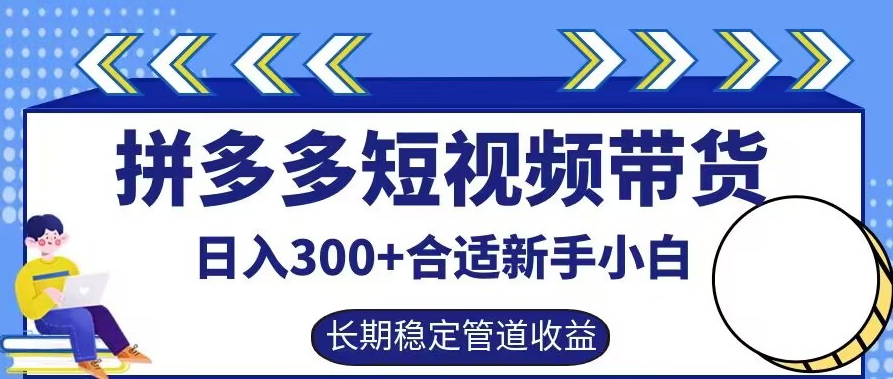 \”新手必看！拼多多短视频带货日赚300+，揭秘稳定被动收益技巧\”-小伟资源网