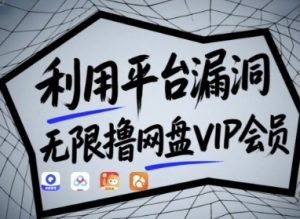 网盘VIP会员无限获取漏洞曝光:实测有效,附原理与操作教程-小伟资源网