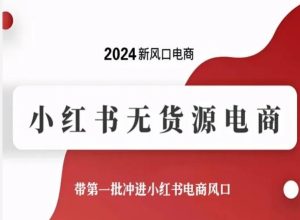 2024小红书无货源电商新风口，抢占先机领跑市场-小伟资源网