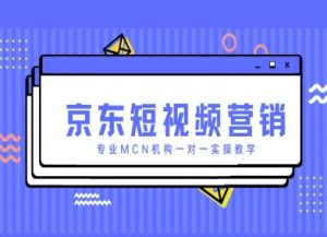 京东短视频营销实战:MCN机构手把手教学-小伟资源网