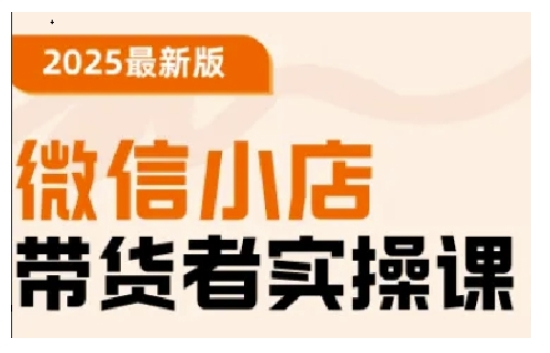 2025微信小店带货实战课：从入门到精通，轻松掌握运营技巧-小伟资源网
