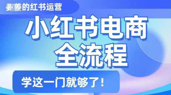 小红书电商速成指南：从入门到精通的全流程解析-小伟资源网