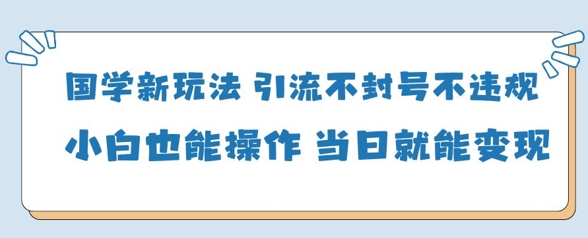 \”国学变现新招：0基础当天赚钱，安全引流不违规\”-小伟资源网