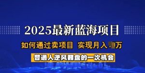 2025普通人月入过W秘籍：蓝海项目变现全流程大公开-小伟资源网