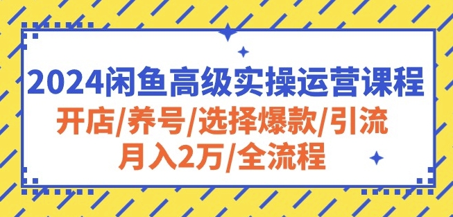 2024闲鱼高阶运营课：开店养号选爆款引流变现全攻略，轻松月入2万-小伟资源网