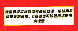 “淘宝爆款速成课：0基础低成本打造热销商品，新手也能轻松上手”-小伟资源网
