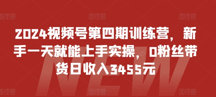 \”2024视频号0基础速成营：1天学会带货，新手日赚3455元！\”-小伟资源网