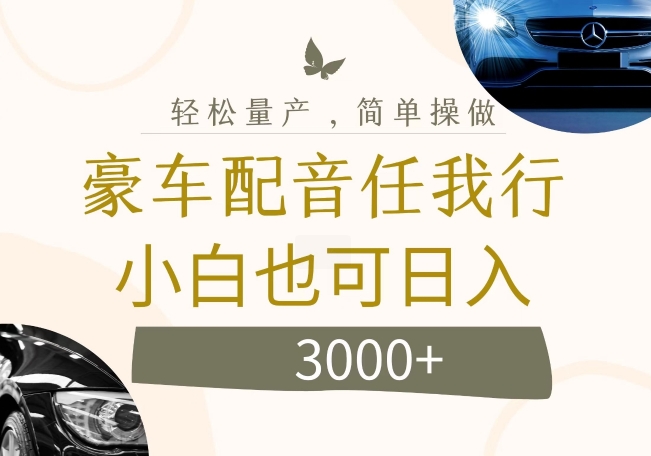 \”揭秘暴利冷门项目：豪车配音日赚千元，小众赚钱门路曝光\”-小伟资源网